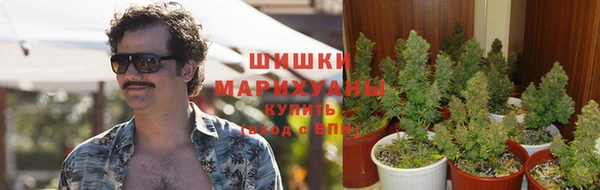 соль ск Сосновоборск