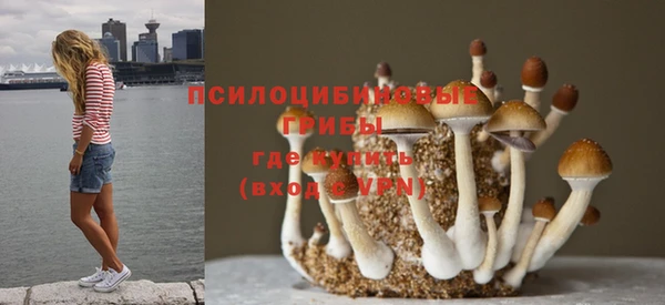 круглые Армянск