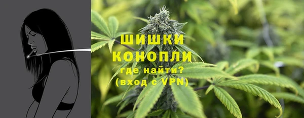 ешки Аркадак