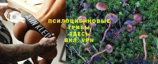 дмт Арсеньев