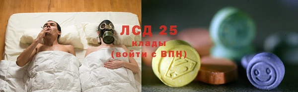 ешки Аркадак
