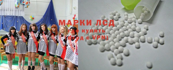 ешки Аркадак