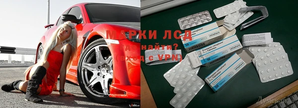 дмт Арсеньев